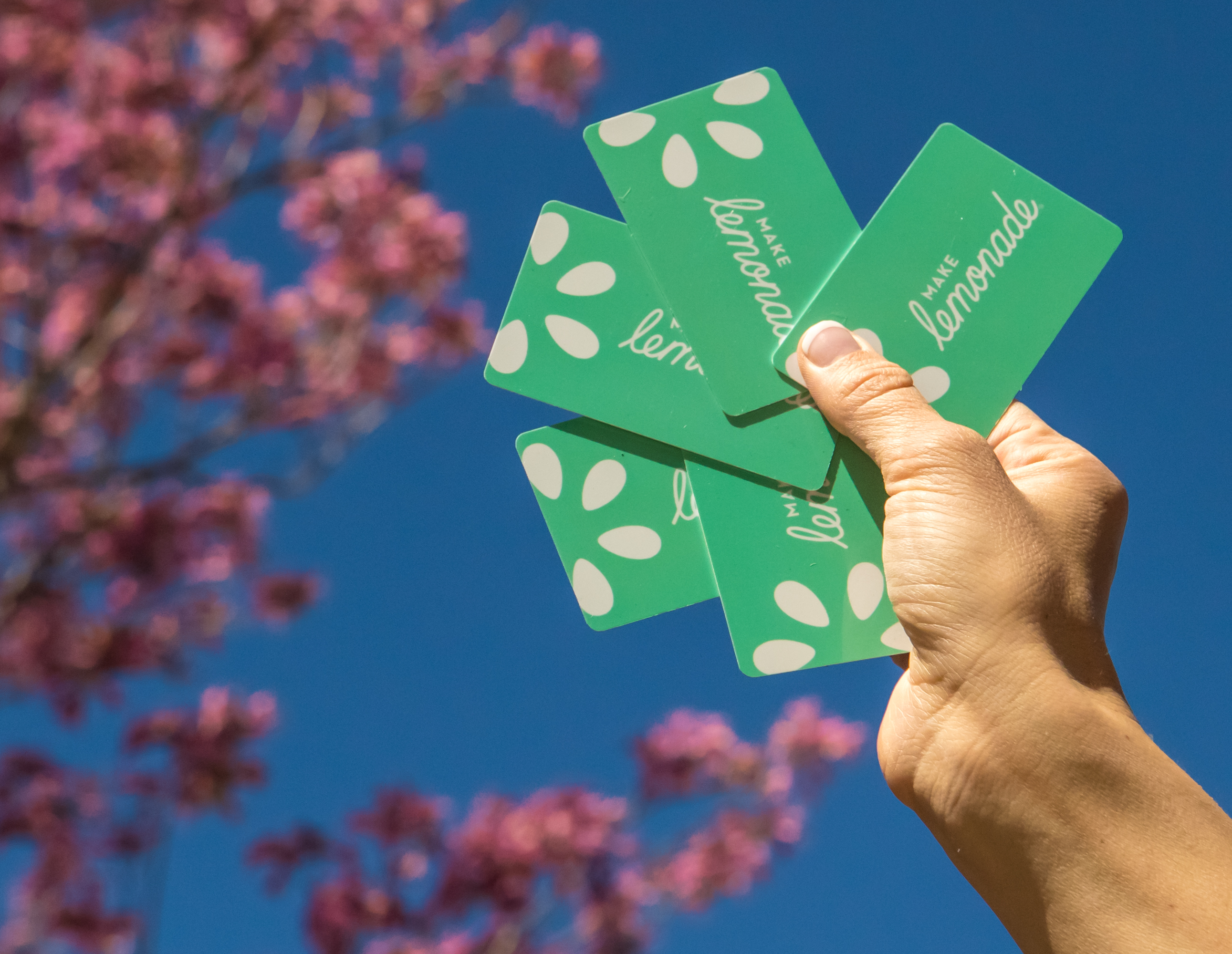 $10 Bonus Bucks | Spring Gift Card Promotion